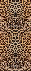 SPRINTY 52*300 LEOPARDO