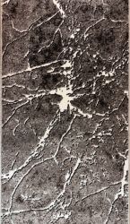 RUNNER 80 PERLAGE 8053-644