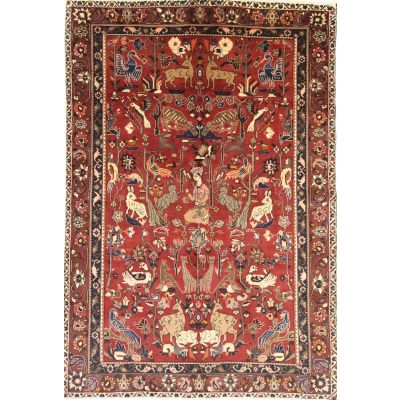 BAKHTIAR 204*302