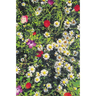 KALEIDOSKOPE BOTANIC 170*230 16807
