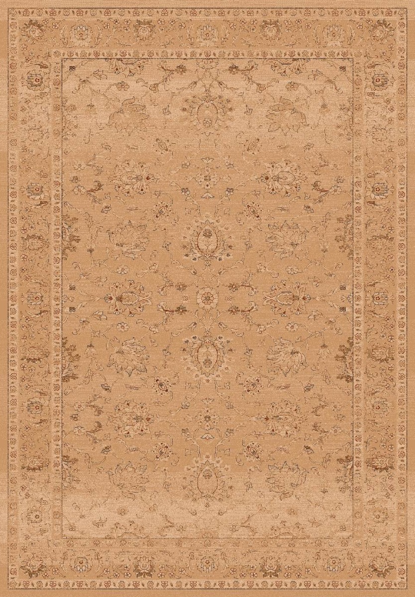 KASHMIR 22862 BERBER