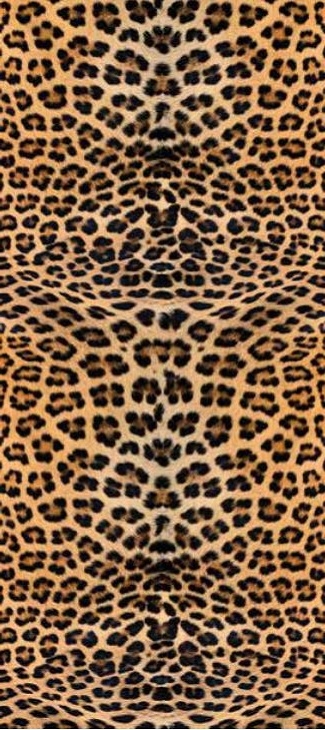 RUNNER 52 SPRINTY LEOPARDO