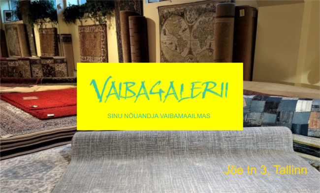 Video: Vaibagalerii Jõe tn 3 sisevaated