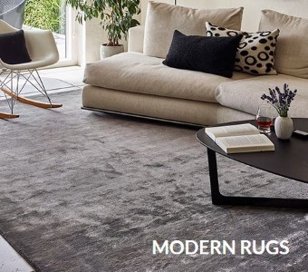 Order modern rugs